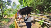 Thumbnail of pic_Derek_Wong_025.jpg