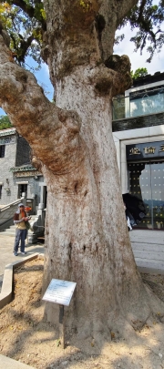 Thumbnail of pic_Derek_Wong_034.jpg