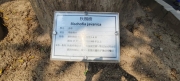 Thumbnail of pic_Derek_Wong_035.jpg