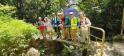 Thumbnail of pic_Derek_Wong_045.jpg