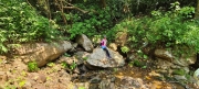 Thumbnail of pic_Derek_Wong_047.jpg