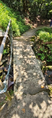 Thumbnail of pic_Derek_Wong_049.jpg