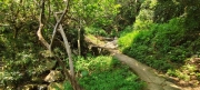 Thumbnail of pic_Derek_Wong_050.jpg
