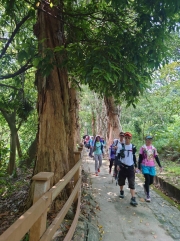 Thumbnail of pic_SK_Kwan_005.JPG