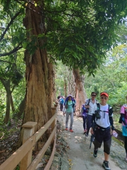 Thumbnail of pic_SK_Kwan_006.JPG