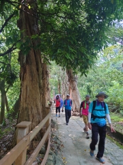 Thumbnail of pic_SK_Kwan_007.JPG