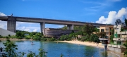 Thumbnail of pic_Cindy_Tse_003.jpg