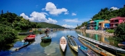 Thumbnail of pic_Cindy_Tse_031.jpg