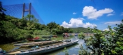 Thumbnail of pic_Cindy_Tse_032.jpg