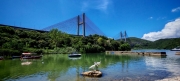 Thumbnail of pic_Cindy_Tse_035.jpg