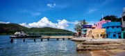 Thumbnail of pic_Cindy_Tse_039.jpg