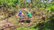Thumbnail of pic_Derek_Wong_019.jpg