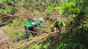 Thumbnail of pic_Derek_Wong_020.jpg