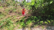 Thumbnail of pic_Derek_Wong_025.jpg