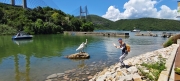 Thumbnail of pic_Derek_Wong_064.jpg
