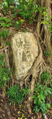 Thumbnail of pic_Derek_Wong_075.jpg