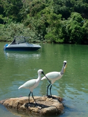 Thumbnail of pic_SK_Kwan_013.JPG