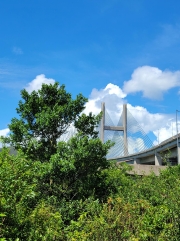 Thumbnail of pic_Teresa_Tse_003.jpg