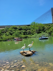 Thumbnail of pic_Teresa_Tse_005.jpg