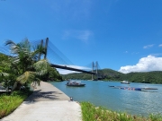 Thumbnail of pic_Teresa_Tse_009.jpg