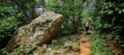 Thumbnail of pic_Cindy_Tse_019.jpg