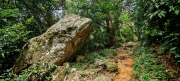 Thumbnail of pic_Cindy_Tse_020.jpg