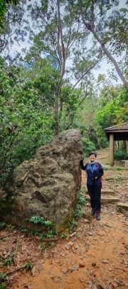 Thumbnail of pic_Cindy_Tse_024.jpg
