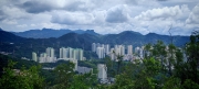 Thumbnail of pic_Cindy_Tse_027.jpg