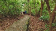 Thumbnail of pic_Derek_Wong_015.jpg