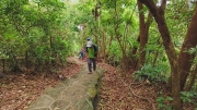 Thumbnail of pic_Derek_Wong_023.jpg