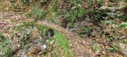 Thumbnail of pic_Derek_Wong_031.jpg
