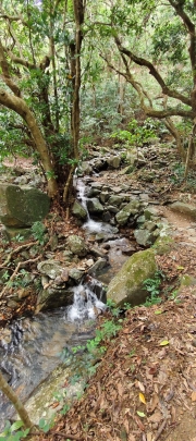 Thumbnail of pic_Derek_Wong_032.jpg