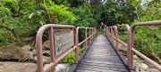 Thumbnail of pic_Derek_Wong_044.jpg