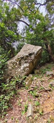 Thumbnail of pic_Derek_Wong_046.jpg
