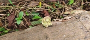 Thumbnail of pic_Derek_Wong_053.jpg