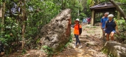 Thumbnail of pic_Derek_Wong_055.jpg