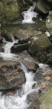 Thumbnail of pic_Lee_Woo_005.jpg