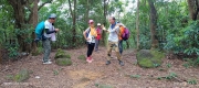Thumbnail of pic_Mingle_Tam_007.jpg