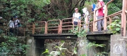 Thumbnail of pic_Mingle_Tam_008.jpg