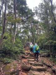 Thumbnail of pic_Paul_Tsang_011.jpg