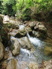 Thumbnail of pic_SK_Kwan_007.JPG
