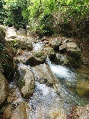 Thumbnail of pic_SK_Kwan_008.JPG