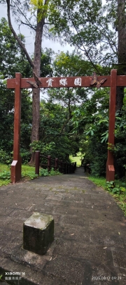 Thumbnail of pic_XF_Liu_006.jpg
