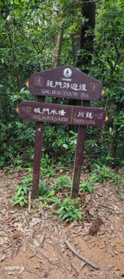 Thumbnail of pic_XF_Liu_022.jpg