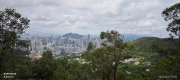 Thumbnail of pic_XF_Liu_052.jpg