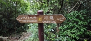 Thumbnail of pic_XF_Liu_059.jpg