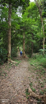 Thumbnail of pic_XF_Liu_065.jpg