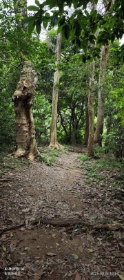 Thumbnail of pic_XF_Liu_066.jpg
