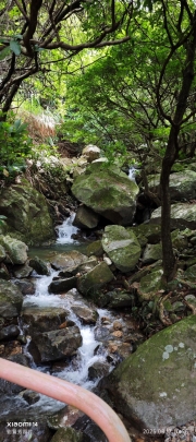 Thumbnail of pic_XF_Liu_069.jpg