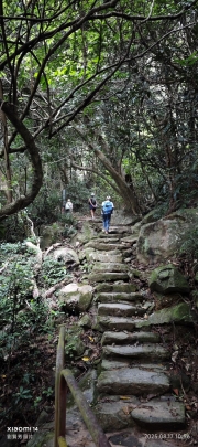 Thumbnail of pic_XF_Liu_070.jpg